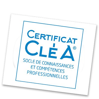 CLEA Socle